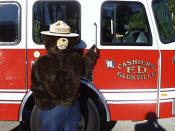 Smoky Bear